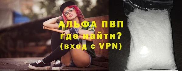 винт Тайга