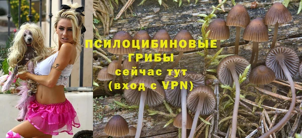 амфетамин Елизово