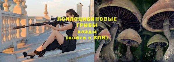 амфетамин Елизово