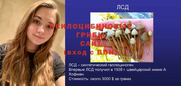 метадон Ельня