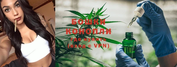 метадон Ельня
