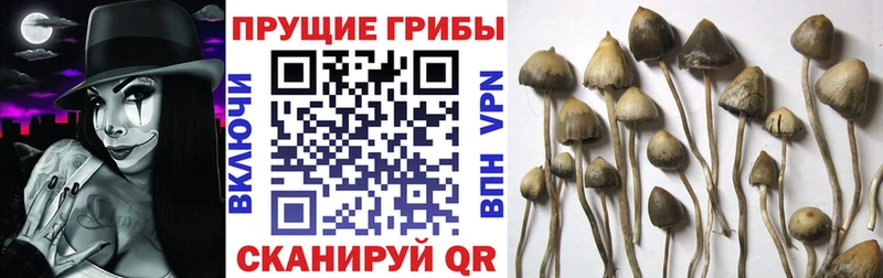 Галлюциногенные грибы MAGIC MUSHROOMS  Снежинск 