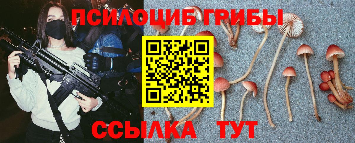 Снежинск  Галлюциногенные грибы прущие грибы  Вход с VPN 