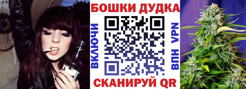 Бошки Шишки планчик  Снежинск 